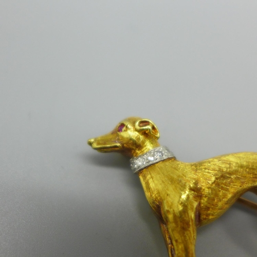 927 - An 18ct gold greyhound brooch with diamond set collar and ruby eyes, London 1967, maker BR Ld., 11.2... 