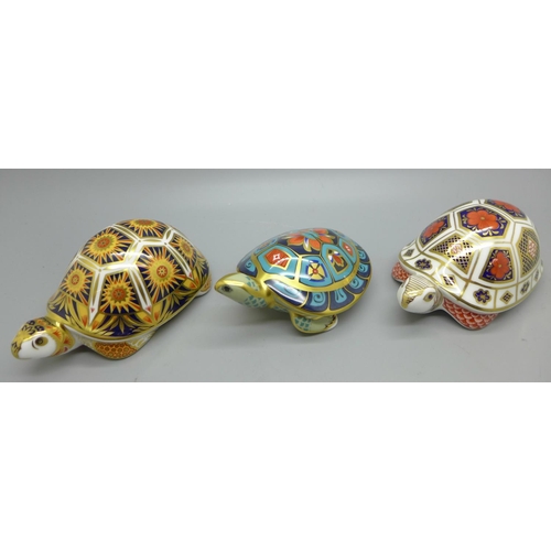 632 - Three Royal Crown Derby Paperweights - Madagascan Tortoise, from the endangered species range for Si... 