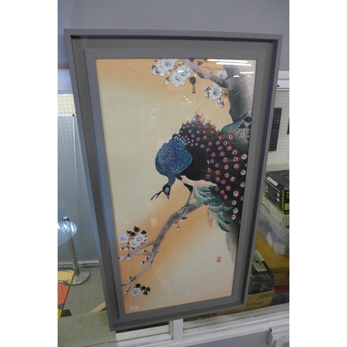 1335 - A Ohara Koson recess framed  print (Peacock On A Cherry Blossom Tree) 50X100Cm(PFPPR4130648)   *