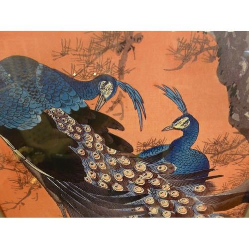 1336 - A Ohara Koson Recess framed Print (Two Peacocks On Tree Branch) 50X100Cm(PFPPR4130448)   *
