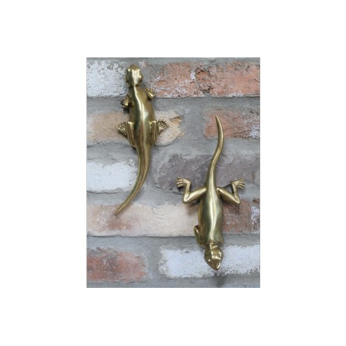 1310 - A set of two wall lizards (792406)   #