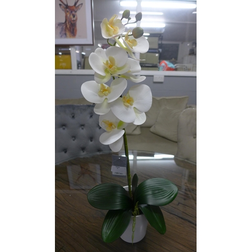 1386A - A single stem orchid in a white pot, 60cms (54837907)   #