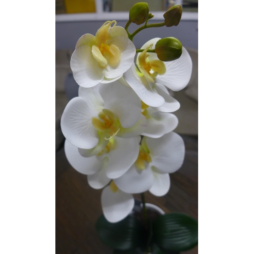 1386A - A single stem orchid in a white pot, 60cms (54837907)   #