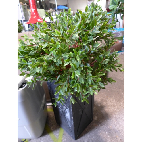 3059 - Tree Locate Artificial Privet In Planter, (258-289)   * This lot is subject to vat