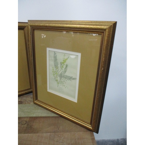 21 - Pair of antique still life prints 44cm x 38cm