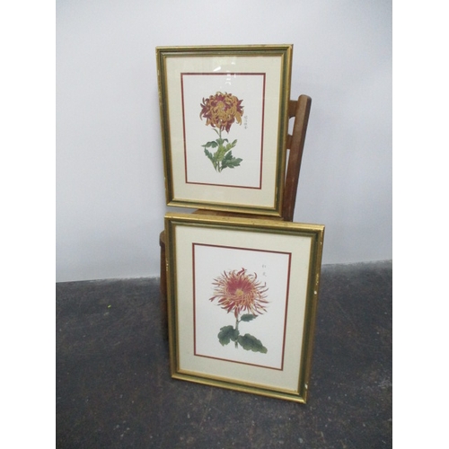 57 - Vintage pair of still life flowers in gold frame (H 57cmx W 45cm)