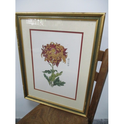57 - Vintage pair of still life flowers in gold frame (H 57cmx W 45cm)