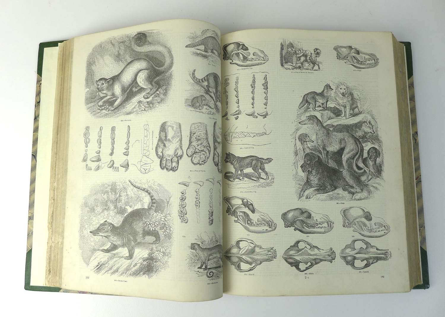 Charles Knight's Pictorial Museum of - auctions & price archive