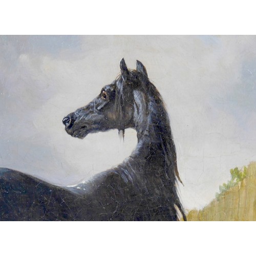 47 - John Frederick Herring, Sr. (British, 1795-1865): equine double portrait, depicting a mare and her f... 