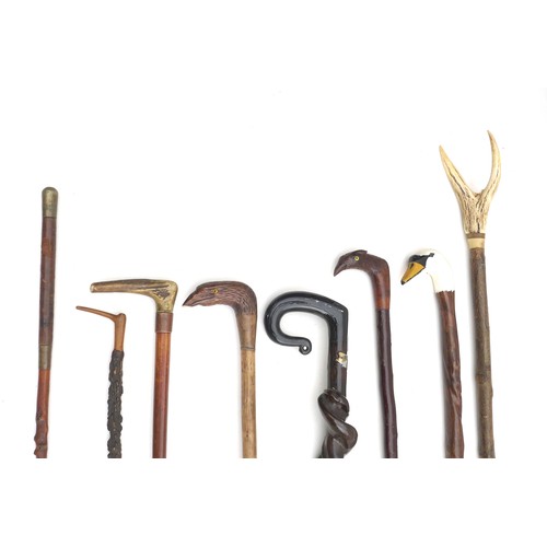 48 - A collection of eight 20th century walking sticks, including three with carved bird head handles, in... 
