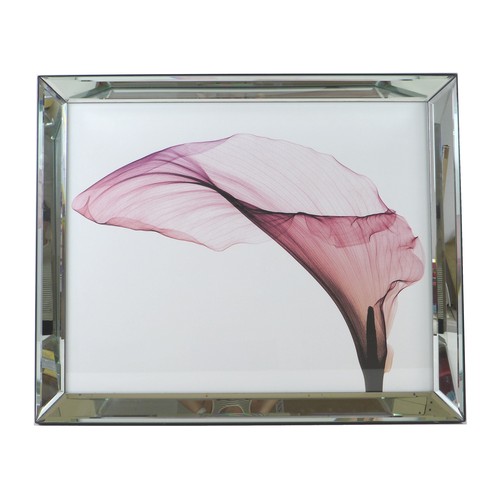 17 - A contemporary floral print from the Quintessa Collection 2004, 'XRay Flower 05', labels to verso, i... 