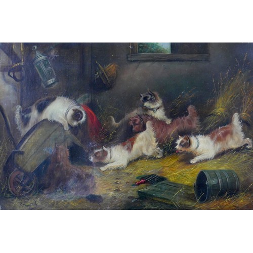108 - George Armfield (British, 1808-1884): Terriers Ratting, depicting six  brown and a white terriers in... 