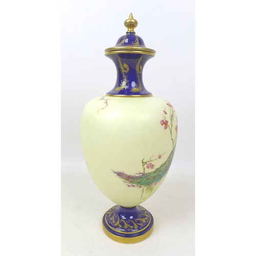 59 - A Royal Worcester vase and cover, painted with a peacock perched on a branch in a blossom tree, on c... 
