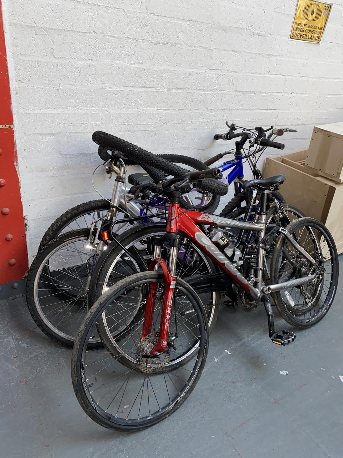 Malibu Passion girls mountain bike
