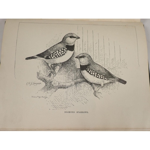 570 - Foreign Birds for Cage & Aviary by A G Butler