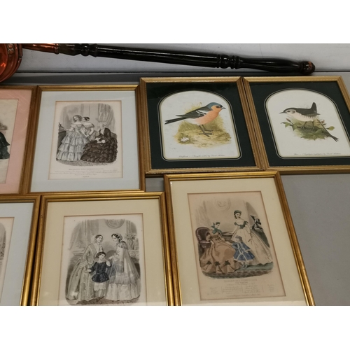 46 - A mixed lot to include nine 19th century French fashion prints together with two bird prints and a c... 