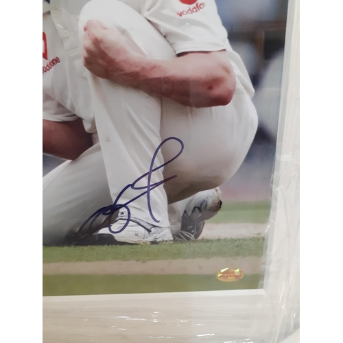 9 - A signed Freddie Flintoff photograph, framed with certificate of authenticity to the reverse
Locatio... 