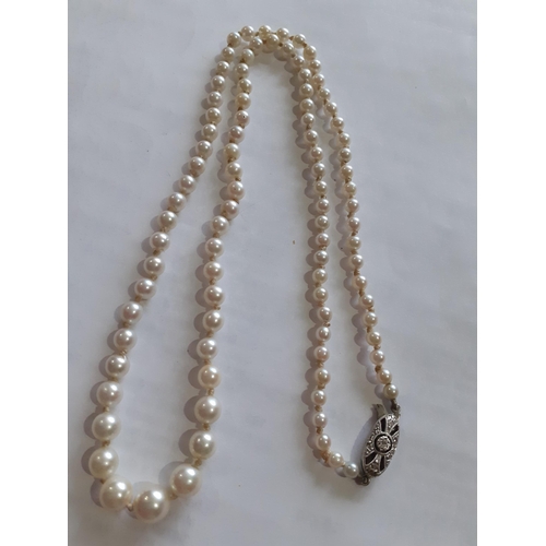 42 - A string of cultured pearls having a 9ct white gold clasp with a small rose diamond to the centre
Lo... 