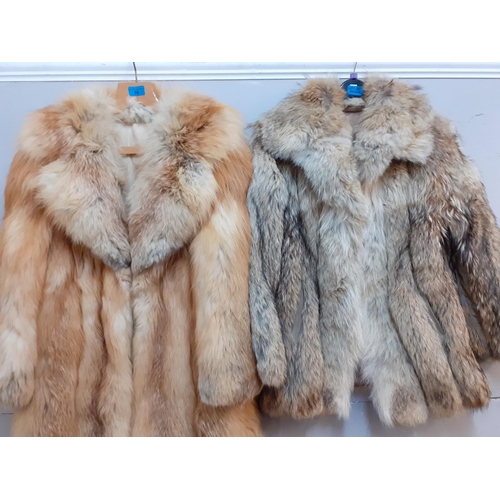 35 - A Retro Canadian red fox three quarter length coat, 40