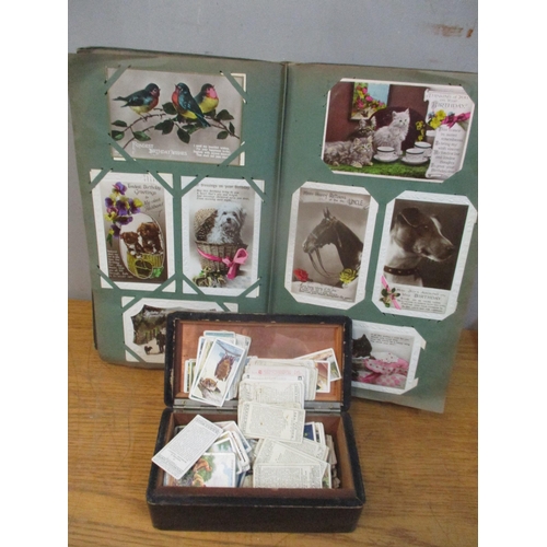 21 - An early 20th century postcard album together with a selection of cigarette cards
Location: 6.3