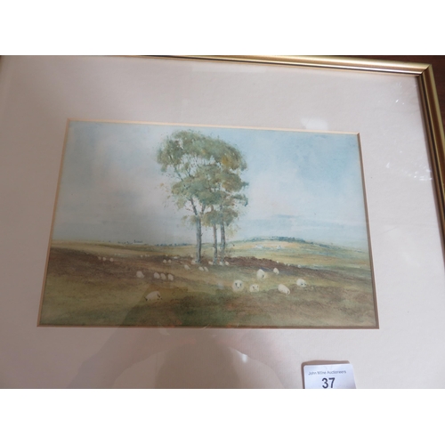 37 - Pair of Watercolours - Rural Aberdeenshire Scenes - Gaffron