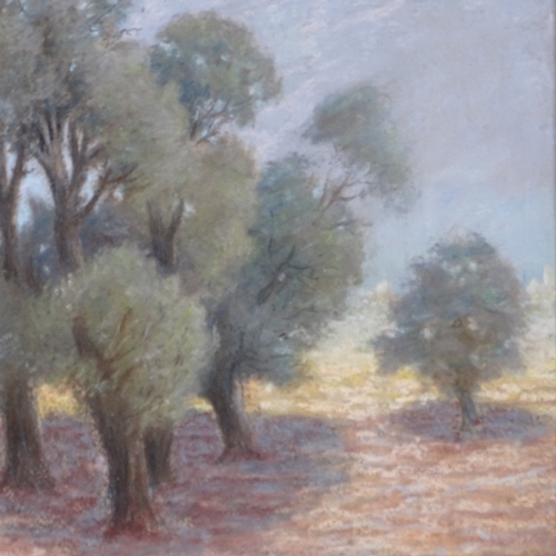 1099 - French School, coloured pastels, olive grove, unsigned, 18.5