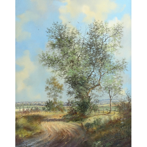 2021 - P Bradshaw, oil on canvas, landscape, signed, 50cm x 40cm, framed