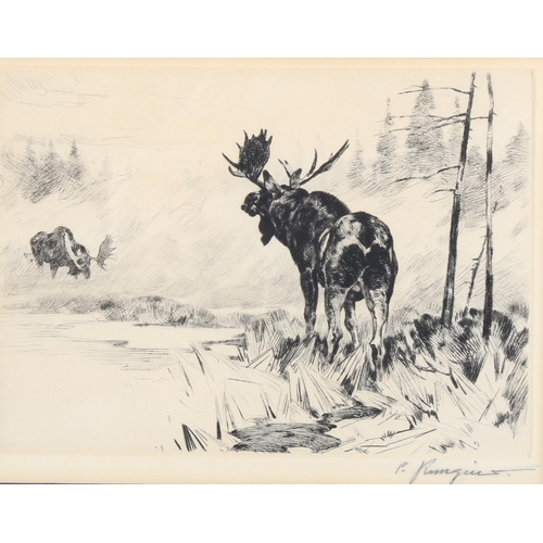 2030 - Carl Rungius (Canadian), etching, moose, signed in pencil, plate size 15cm x 21cm, framed