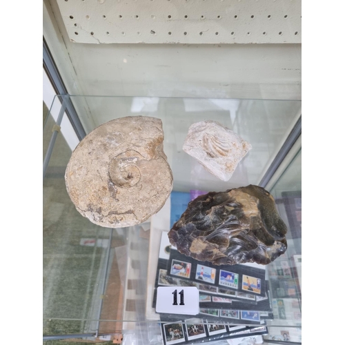 11 - Flint Axe Head and 2 Fossils