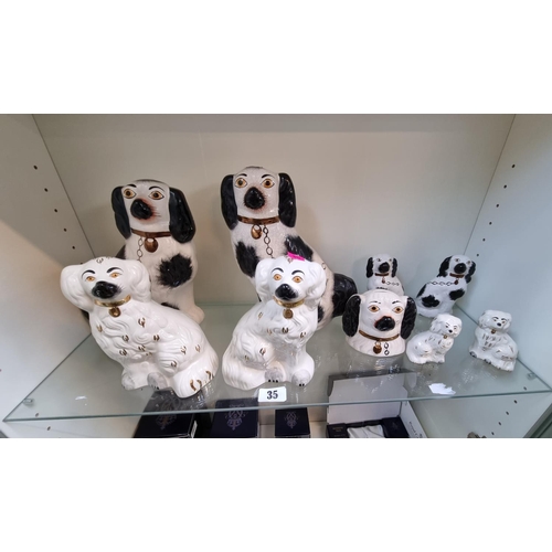 35 - Collection of Staffordshire Dogs inc. Beswick