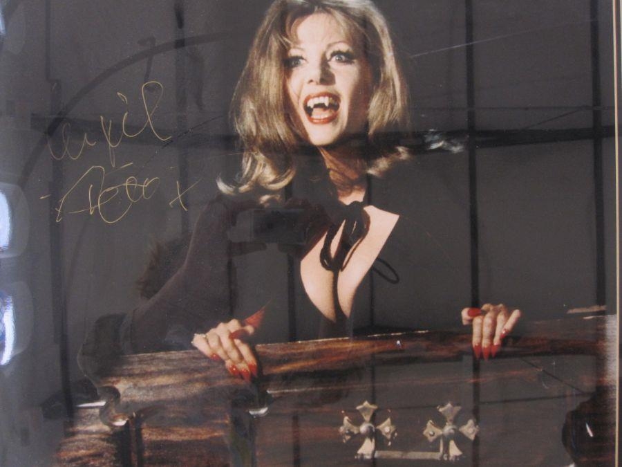 Ingrid Pitt Signed And Framed Photograph 29 5cm X 49cm
