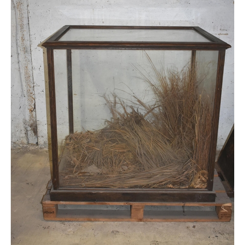 15 - A glass display case, orig. displaying a lion                 
                                     ... 
