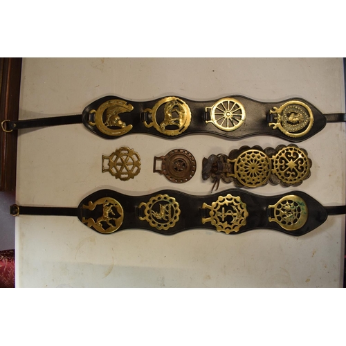 6 - A mixed collection of horse brasses to include a range of modern and old mounted on leathers and som... 