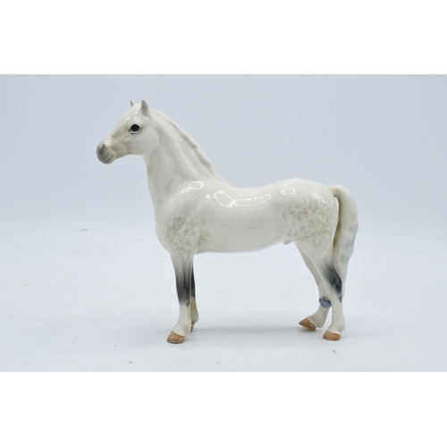 146 - Beswick Welsh Mountain Pony 1643. In good condition with no obvious damage or restoration apart from... 