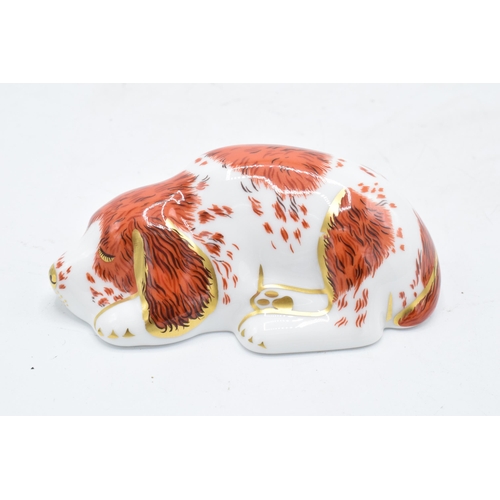 162 - Royal Crown Derby paperweight in the form of a Puppy. Exclusive for the RCD Collectors Guild. First ... 