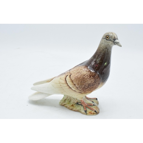 92 - Beswick pigeon 1383. In good condition no obvious damage or restoration.