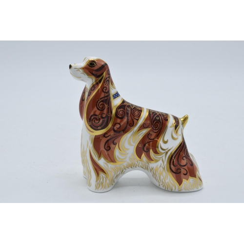 86 - Royal Crown Derby paperweight American Spaniel, first quality with gold stopper.