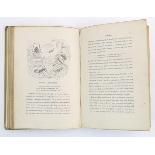 720 - Book: Episodes of Insect Life, by Acheta Domestica. Published by Reece, Benham, & Reeve, London, 184... 