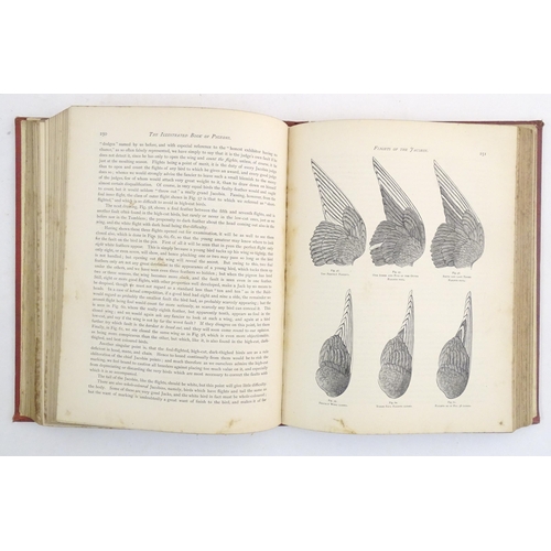 721 - Book: The Illustrated Book of Pigeons, with Standards for Judging, by Robert Fulton, edited Lewis Wr... 