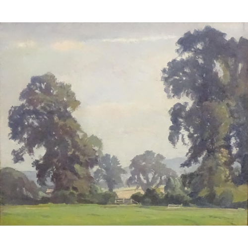 1131 - Early 20th century, Oil on canvas, An English country landscape with trees and a gate. Approx. 19 1/... 