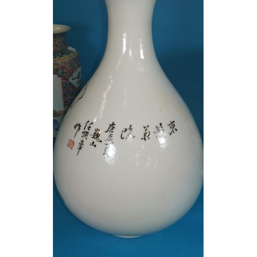 253 - A Chinese ceramic pear shaped vase decorated with figures in a garden and Chinese characters, height... 