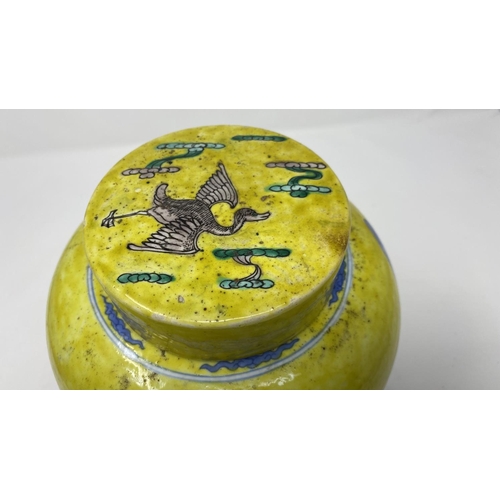 313a - A Chinese yellow glaze lidded ginger jar with blue and white decoration of birds, double circle mark... 