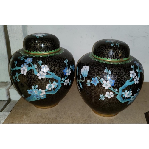 68 - A pair of Chinese cloisonné vases decorated with blue birds on a black ground, 20 cm
