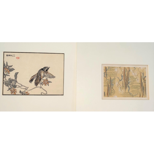443 - Kono Bairei (1844-1895):  bird on a branch, Japanese woodblock print, 14.5 x 20 cm, unframed; Tsuda ... 