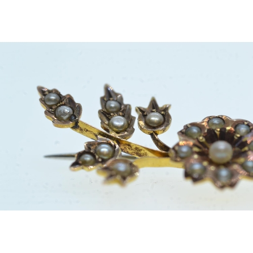54 - Yellow metal & seed pearl brooch, tests positive for 9ct gold, later steel pin, gross weight 2.8... 