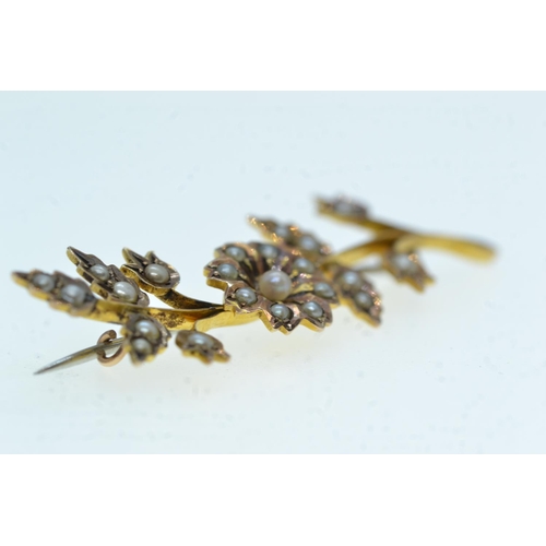 54 - Yellow metal & seed pearl brooch, tests positive for 9ct gold, later steel pin, gross weight 2.8... 