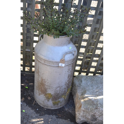 12 - Aluminium churn with planted contents, H94cm (to top of plant)