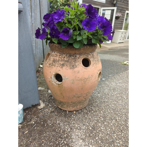 1 - Large terracotta strawberry planter. H46cmHANGING BASKET & PLANTS NOT INCLUDED