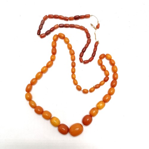 188 - Strand of butterscotch amber beads (total weight 57.5g) t/w another strand of smaller amber beads (t... 