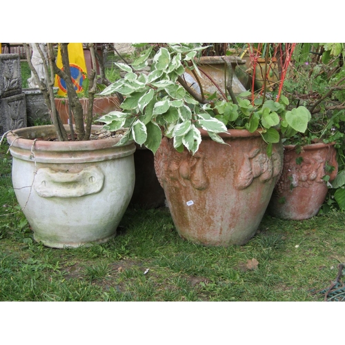 2057 - Six weathered contemporary terracotta planters of varying size and design containing well establishe... 